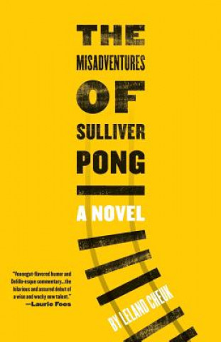 Misadventures of Sulliver Pong