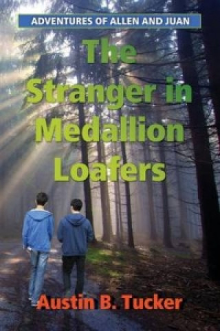 Stranger in Medallion Loafers