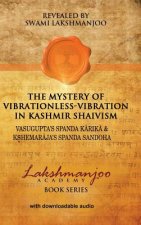 Mystery of Vibrationless-Vibration in Kashmir Shaivism
