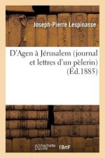 D'Agen A Jerusalem (Journal Et Lettres d'Un Pelerin), Recits Du Iiie Pelerinage de Penitence