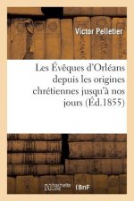 Les Eveques d'Orleans Depuis Les Origines Chretiennes Jusqu'a Nos Jours
