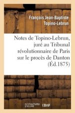 Notes de Topino-Lebrun, Jure Au Tribunal Revolutionnaire de Paris Sur Le Proces de Danton