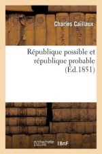 Republique Possible Et Republique Probable