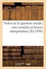 Notes Sur La Question Sociale, Vrais Remedes Et Fausses Interpretation
