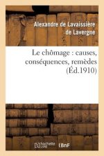 Le Chomage: Causes, Consequences, Remedes