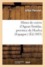 Mines de Cuivre d'Aguas-Tenidas, Province de Huelva (Espagne): Rapport Adresse