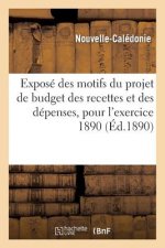 Expose Des Motifs Du Projet de Budget Des Recettes Et Des Depenses