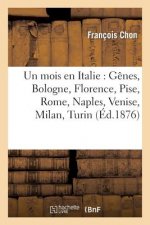 Un Mois En Italie: Genes, Bologne, Florence, Pise, Rome, Naples, Venise, Milan, Turin