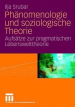 Phanomenologie und soziologische Theorie