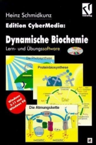 Dynamische Biochemie