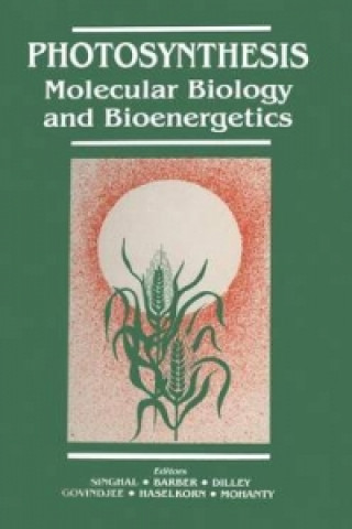 Photosynthesis : Molecular Biology and Bioener