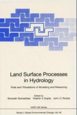 Land Surface Processes in Hydrology