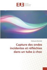 Capture Des Ondes Incidentes Et Reflechies Dans Un Tube A Choc