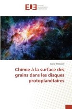 Chimie A La Surface Des Grains Dans Les Disques Protoplanetaires