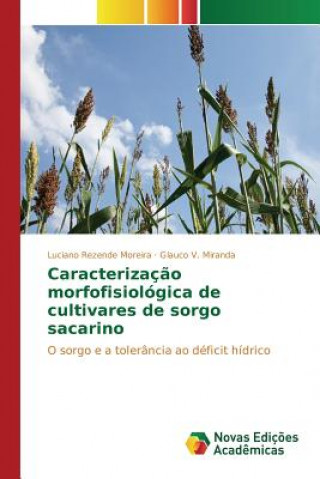 Caracterizacao morfofisiologica de cultivares de sorgo sacarino