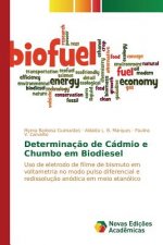Determinacao de Cadmio e Chumbo em Biodiesel