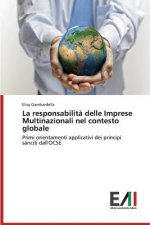 responsabilita delle Imprese Multinazionali nel contesto globale