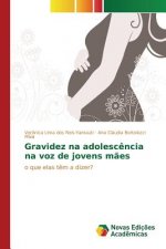 Gravidez na adolescencia na voz de jovens maes