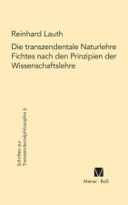 Die transzendentale Naturlehre Fichtes nach den Prinzipien der Wissenschaftslehre