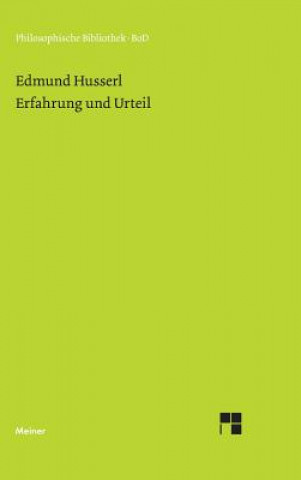 Erfahrung und Urteil