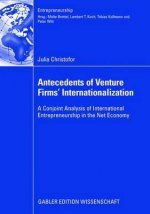 Antecedents of Venture Firms' Internationalization