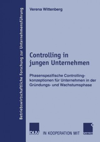 Controlling in Jungen Unternehmen