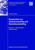 Kooperation Von Zentralcontrolling Und Bereichscontrolling