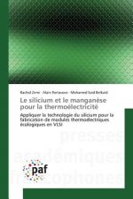 Le Silicium Et Le Manganese Pour La Thermoelectricite