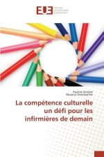 Competence Culturelle Un Defi Pour Les Infirmieres de Demain