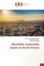 Morbidite Maternelle Severe En Ile-De-France