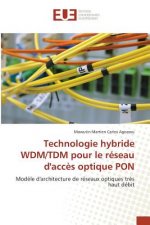 Technologie Hybride Wdm/Tdm Pour Le Reseau d'Acces Optique Pon