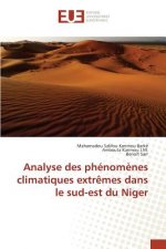 Analyse Des Phenomenes Climatiques Extremes Dans Le Sud-Est Du Niger
