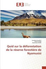 Quid Sur La Deforestation de la Reserve Forestiere de Nyamusisi