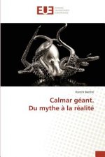 Calmar Geant. Du Mythe A La Realite