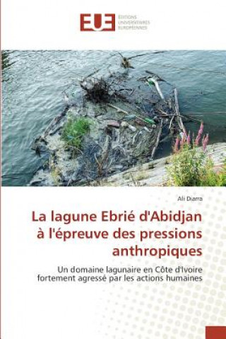 La Lagune Ebrie Dabidjan A Lepreuve Des Pressions Anthropiques