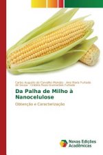 Da Palha de Milho a Nanocelulose