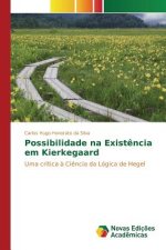 Possibilidade na Existencia em Kierkegaard