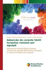 Adsorcao do corante textil turquesa remazol por aguape