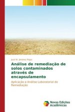 Analise de remediacao de solos contaminados atraves de encapsulamento