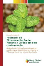 Potencial de Fitorremediacao de Mentha x villosa em solo contaminado