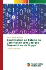 Contribuicao ao Estudo da Codificacao com Codigos Geometricos de Goppa