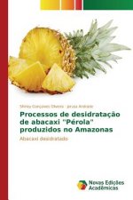 Processos de desidratacao de abacaxi Perola produzidos no Amazonas