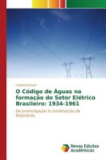 O Codigo de Aguas na formacao do Setor Eletrico Brasileiro