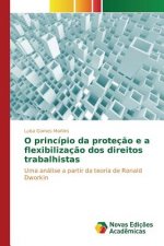 O principio da protecao e a flexibilizacao dos direitos trabalhistas