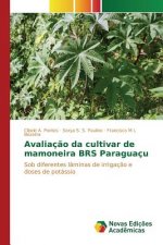 Avaliacao da cultivar de mamoneira BRS Paraguacu