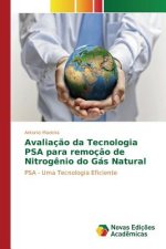 Avaliacao da Tecnologia PSA para remocao de Nitrogenio do Gas Natural