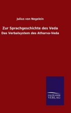 Zur Sprachgeschichte des Veda