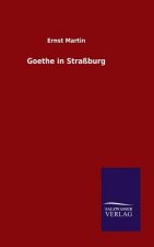 Goethe in Strassburg