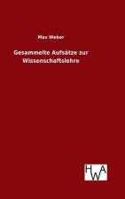 Gesammelte Aufsatze zur Wissenschaftslehre