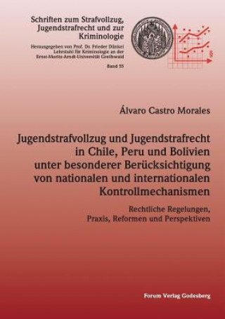 Jugendstrafvollzug und Jugendstrafrecht in Chile, Peru und Bolivien unter besonderer Berucksichtigung von nationalen und internationalen Kontrollmecha